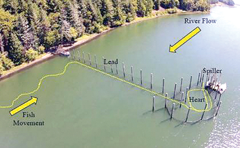 Planning commission denies shoreline permit for 2nd fish trap - The  Wahkiakum County Eagle